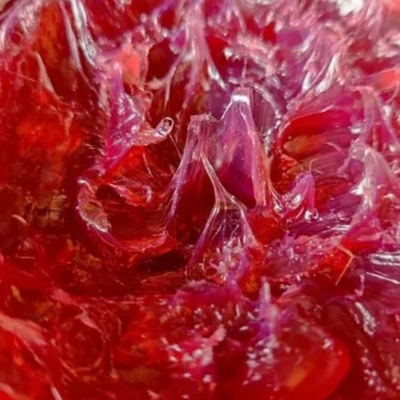 Ontwerp stofdicht wit en rood lithiumcomplexvet voor industriële toepassingen