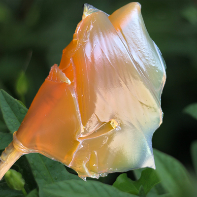 Vloedzaam calciumsulfonaatvet voor industriële smeermiddelen en voor het voorkomen van velgroes