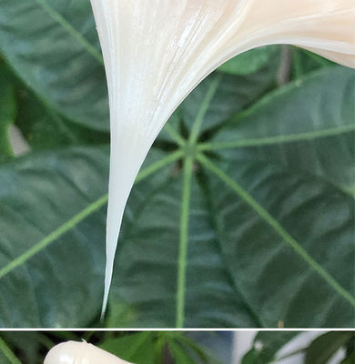 Dikke witte niet-druppelende synthetische Lithium Svc en Sprt smeermiddelvet voor O-ringen Dus